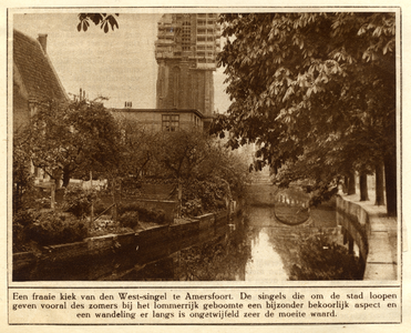 350451 Gezicht op de Westsingel te Amersfoort uit het noorden; met links de achtergevels van enkele panden en tuinen ...